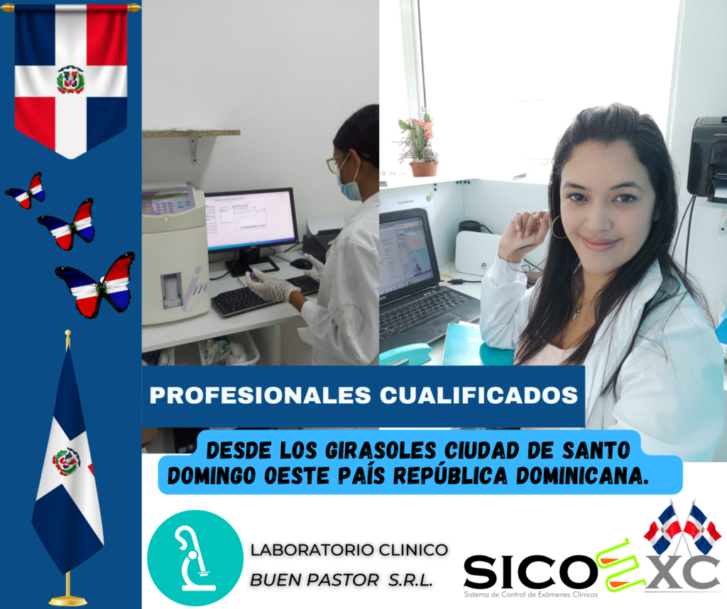 INICIO 1