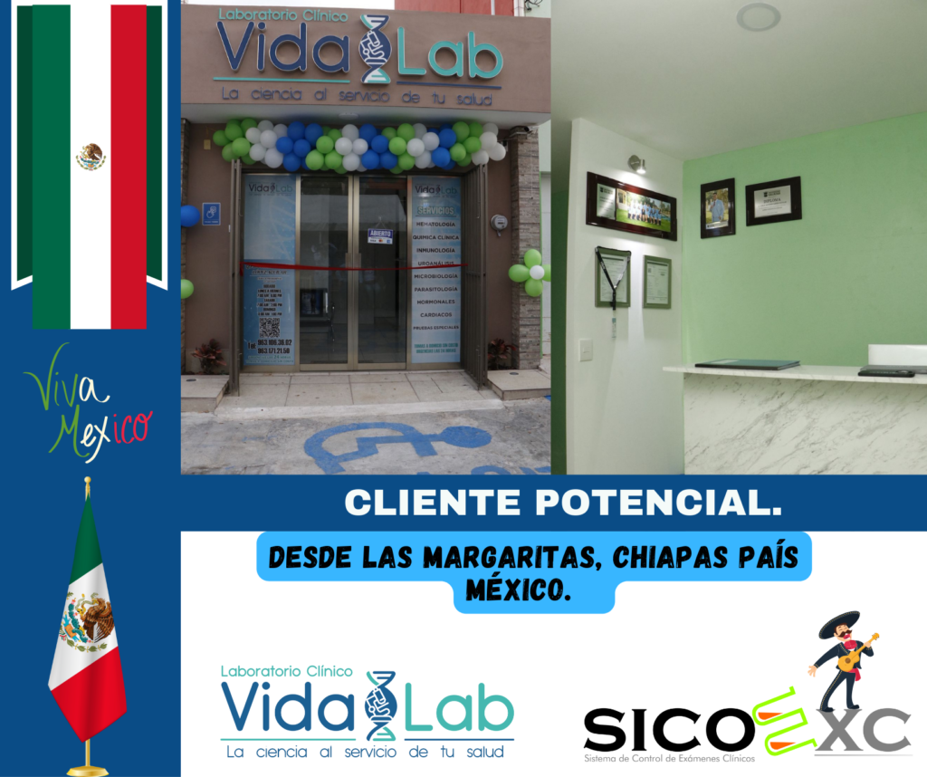 INICIO 5