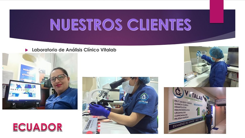 diapositiva10
