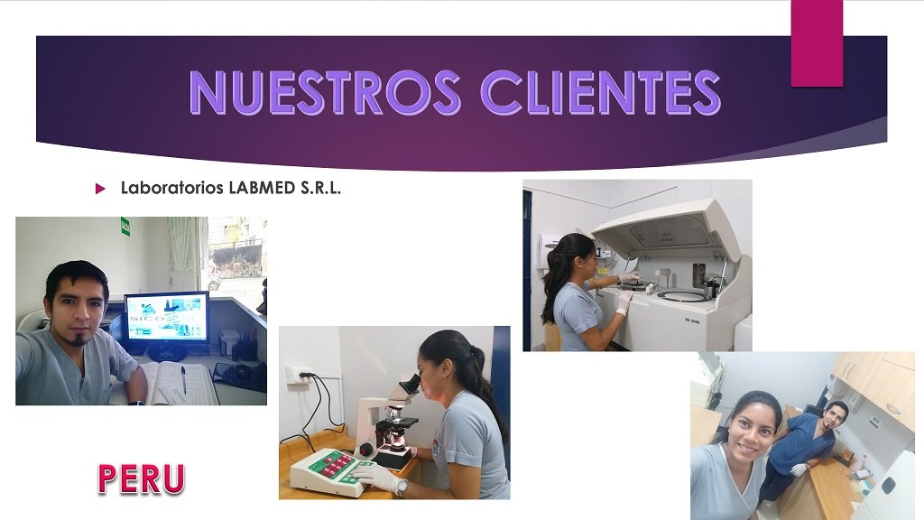 diapositiva12